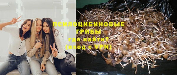 гидра Балабаново