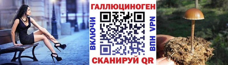 Псилоцибиновые грибы Cubensis  Жигулёвск 